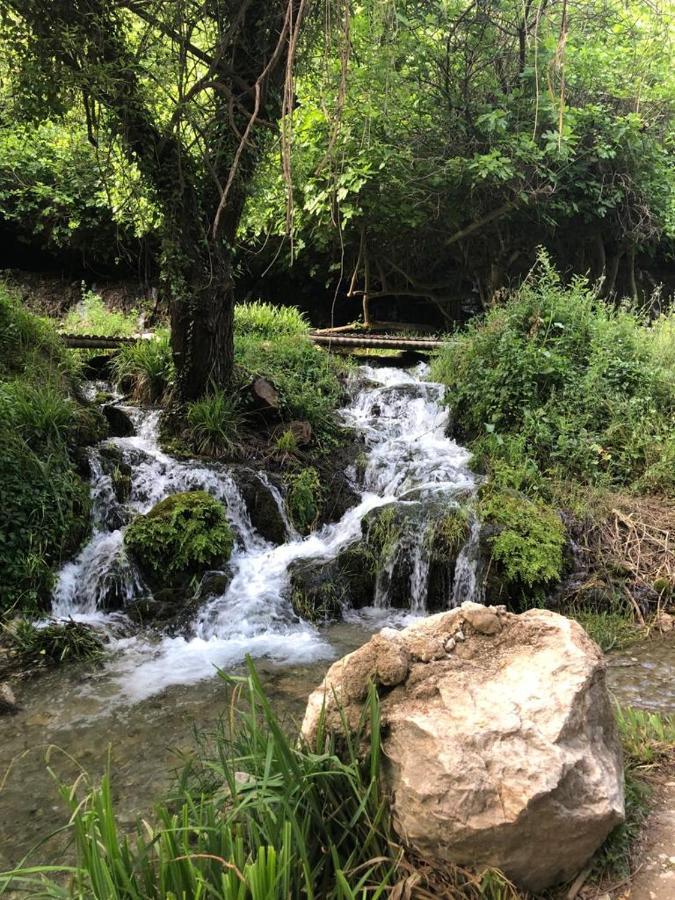 El Almendro De Fuentes Nuevas Villa Castril Eksteriør bilde